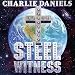 Steel Witness
