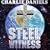 Steel Witness