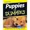 Discover Doggie Fun (and More) For Everyone