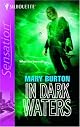 In Dark Waters (Silhouette Intimate Moments) (Intimate Moments)