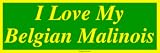 I Love My Belgian Malinois Large Bumper Sticker
