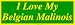 I Love My Belgian Malinois Bumper Sticker