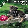 German Shepherd Puppies 2007 Wall Calendar