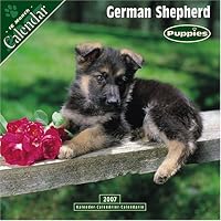 German Shepherd Puppies 2007 Wall Calendar