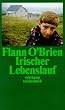 Irischer Lebenslauf