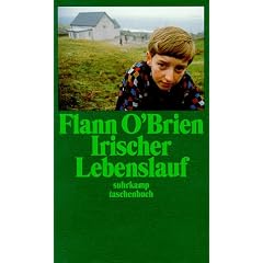 Irischer Lebenslauf