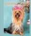 Book Yorkshire Terriers: Weekly Engagement Calendar: 2003