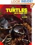 Turtles as a New Pet