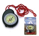 Compass / LED Light