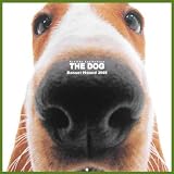 Artlist Collection the Dog 2005 Calendar Basset Hound