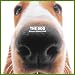 Artlist Collection the Dog 2005 Calendar Basset Hound (Multilingual Edition)