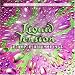 Liquid Tension Experiment