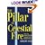 The Pillar of Celestial Fire: And the Lost Science of the Ancient Seers