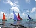 SAILING REGATTA Mouse Mat