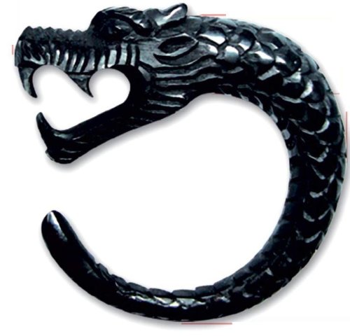 Click here to buy 2 DRAGON BODY PIERCING EXPANDER EARRING EAR RING EARING.