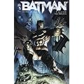 Batman tome 1 La Cour des Hiboux