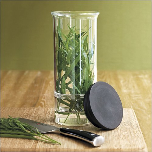 Progressive International Herb Keeper