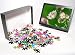 Photo Jigsaw Puzzle of Astrantia major - the petals resemble a tiffany lamp from Ardea Wildlife Pets