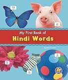 My First Book of Hindi Words (A+ Books)