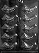 JEWISH HORN Religious Candy Mold Chocolate