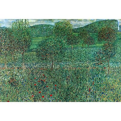 Professionally Framed Gustav Klimt Garden Landscape Art Print Poster - 13x19 with RichAndFramous Black Wood Frame