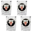 Chicago Bulls NBA 4pc Square Shot Glass Set by Great American Products