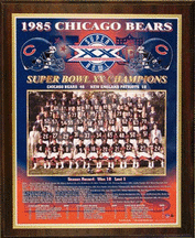 Buy 1985 Chicago Bears Super Bowl XX Champions 11 x 13 Plaque from Healy Pro by Healy Pro
