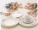 Lynns 498831G Clarabelle 49 Piece Dinner Set