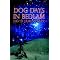 Antediluvian fiction (Before the Flood)