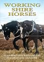 Working Shire Horses [DVD]