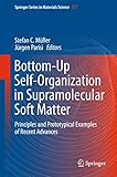 Bottom-up self-organization in supramolecular soft matter : principles and prototypical examples of recent advances