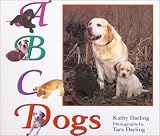 ABC Dogs