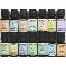 Essential Oil- Beginners Best of the Best Set 14/ 10 ml