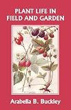 Plant Life in Field and Garden (Yesterday's Classics) (Eyes and No Eyes)