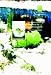 Book Selection of Remedial Treatments for Contaminated Land