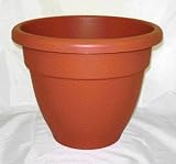 CARIBBEAN POT 16 CLAY