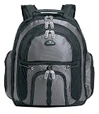 Samsonite 10386 Business Casual Sport Backpack (Black/Gray)