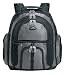 Samsonite 10386 Business Casual Sport Backpack (Black/Gray)
