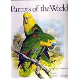 PARROTSOFTHEWORLD.