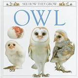 See How They Grow: Owl (See How They Grow (Dorling Kindersley))