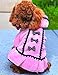 SPHTOEO Cute Puppy Pet Dog Winter Hoodie Bowknot Warm Coat Soft Plush Princess Jasmine Dress (Pink, XXS)