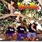 Great Reggae Music from the Hawaiian Islands