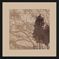 Morning Mist II Wall Art - 16 x 16"