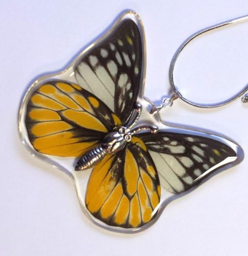 Spotted Sawtooth Butterfly Necklace (Real Butterfly)