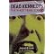 ORIGINAL PUNK ROCK FOOTAGE -- THE DVD COLLECTION