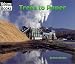 Trees to Paper (Welcome Books: How Things Are Made)