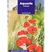 Aquarelle : Paysages