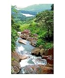 Misty Valley Photographic Poster Print by Mark Sellers, 20x24