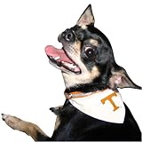 Tennessee Volunteers Nylon Pet Collar Bandana