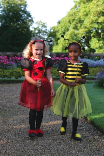 Childrens Toyshop  Toys : Dressing Up Costume Ladybird Outfit (18mths+)
